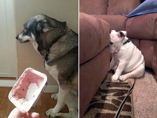 Подборка картинок на среду