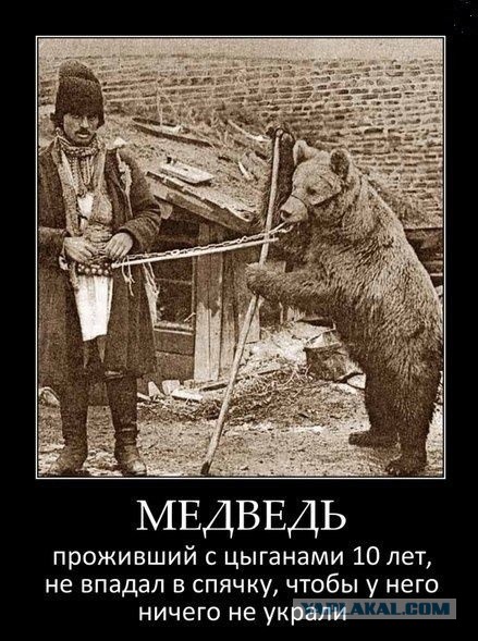 По ходу цыгане опиздюлились в Плеханове