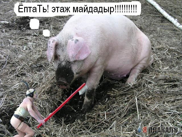 Фотожаба: человек-щетка