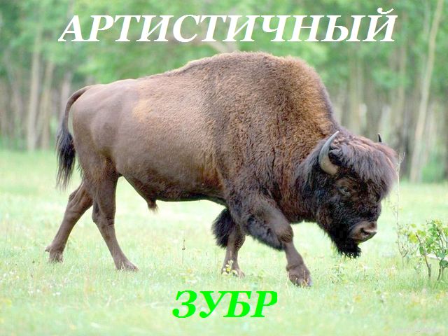 Подборка картинок