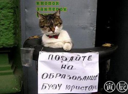 Внимание! У Ликоса пропала совесть!