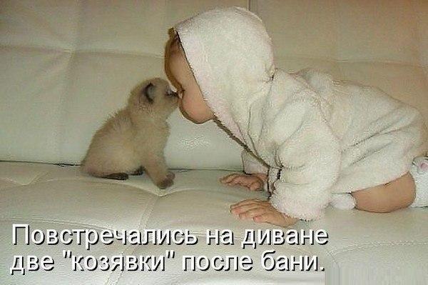Разные картинки из сети