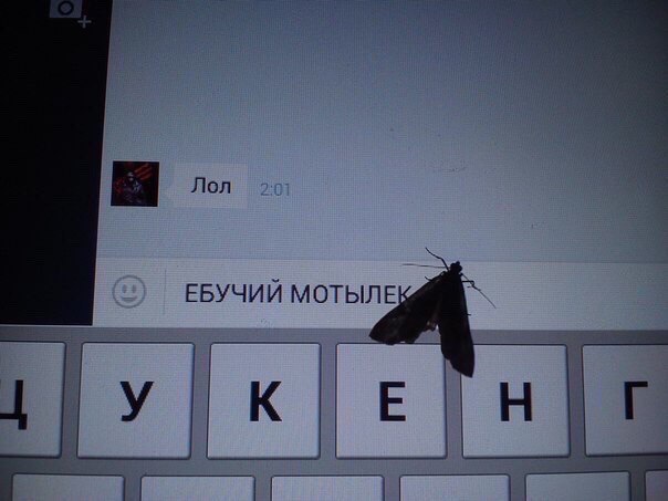 Ужасы и приколы из соцсетей 18+