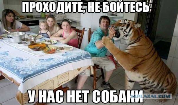 Абсурд зашкаливает