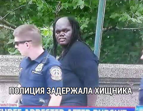 Деградация на ЯПе