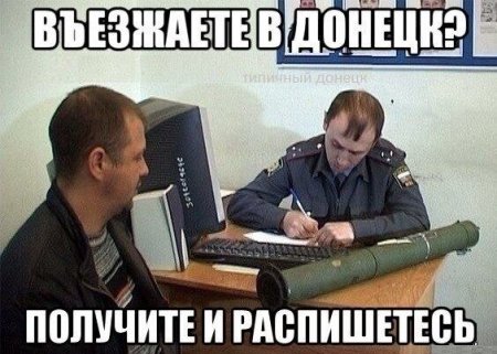 9733832.jpg