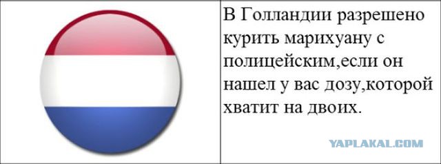 Забавные комментарии, шутки и фразы из этих ваших интернетов
