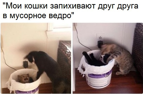 Просто юмор 13