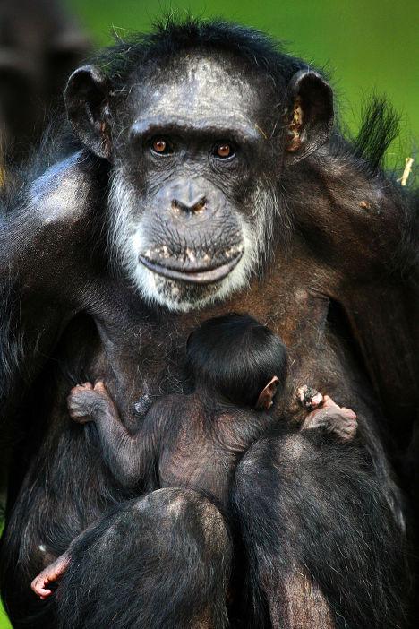 10 научных прорывов 2012 года