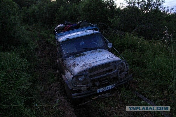 Проходимцы Веппского леса