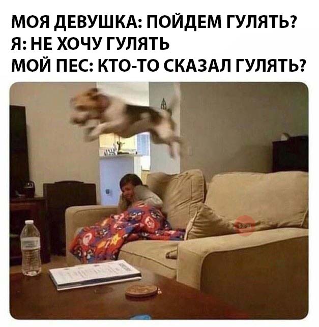 Немного картинок в эту пятницу