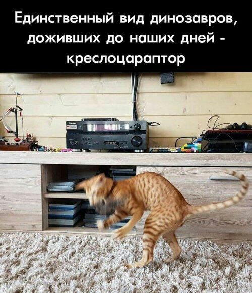 Немного картинок с надписями и без - 15.12.19