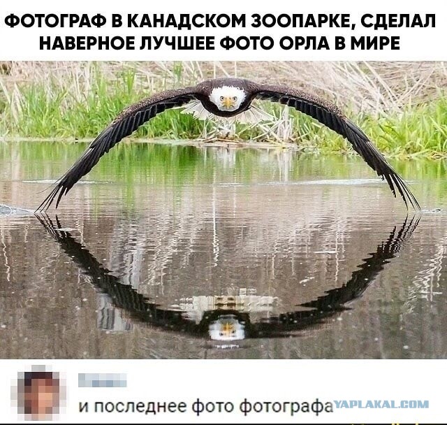 Чуток картинок. Ночные