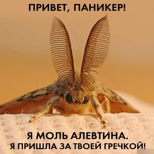 Новый маркетинговый ход автосалонов