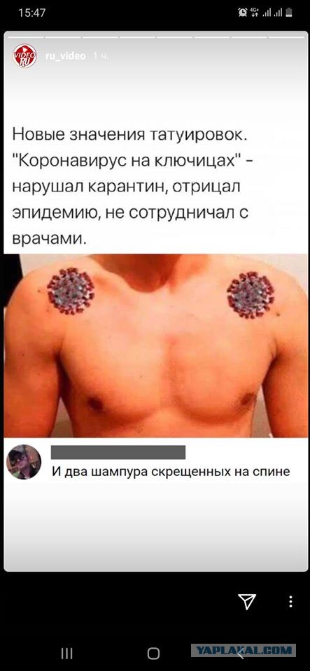 Вышел по хлеб да по молоко