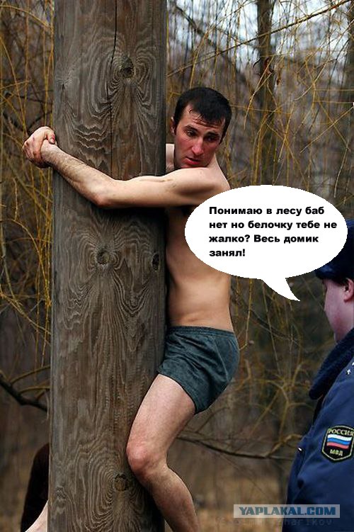 Надпись-жаба: Кто вы такие? Я вас не звал!