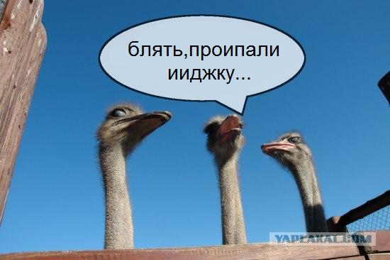 Фотожаба на пятницу