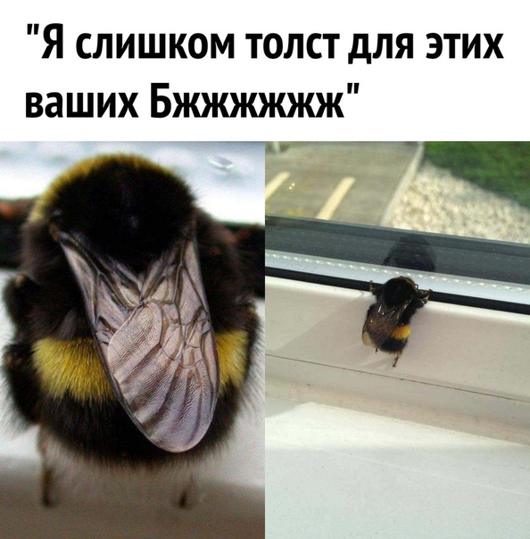 И что этим мужикам надо?