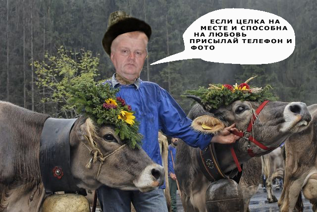 Анкета с сайта знакомств