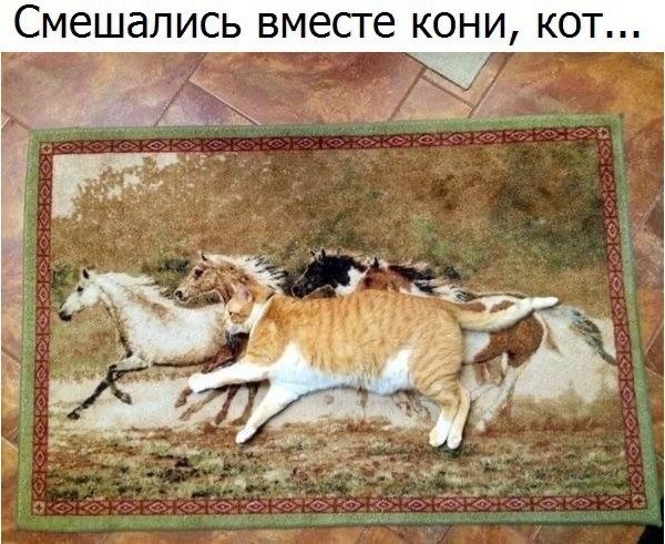 Картинки разные