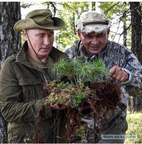 Сама себе построила дом