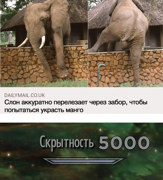 Немного картинок для настроения 10.11.20