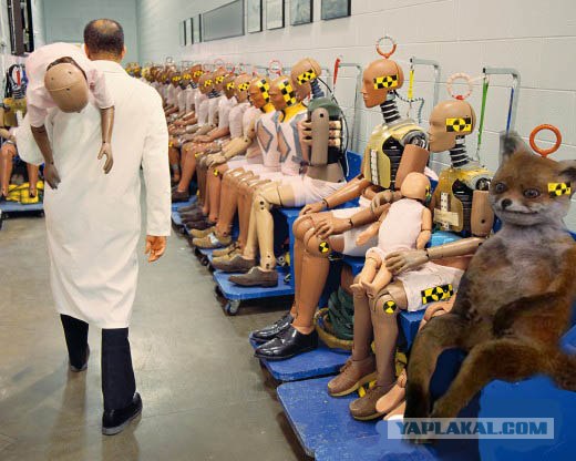 Таксидермия + наркомания