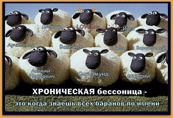 Бредзона 08.02.2021