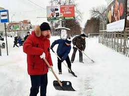 Саратовский учитель призвала привлекать учеников к уборке школы