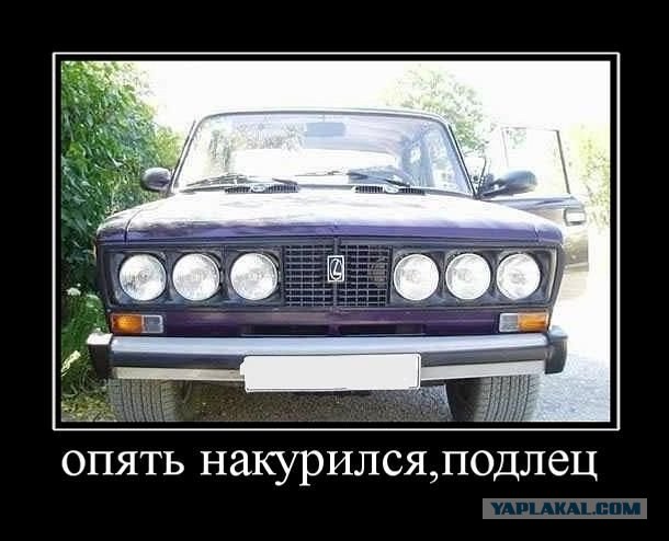 Вдруг откуда не возьмись, появился...