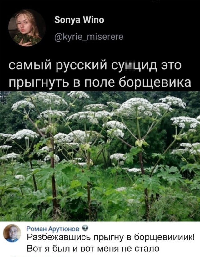 Бредзона 09.08.21