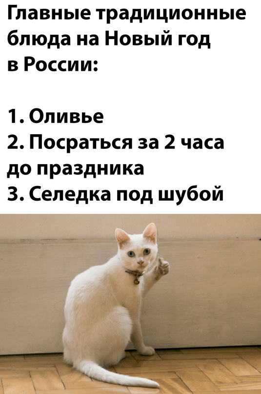 Весёлый полтишок 24.12