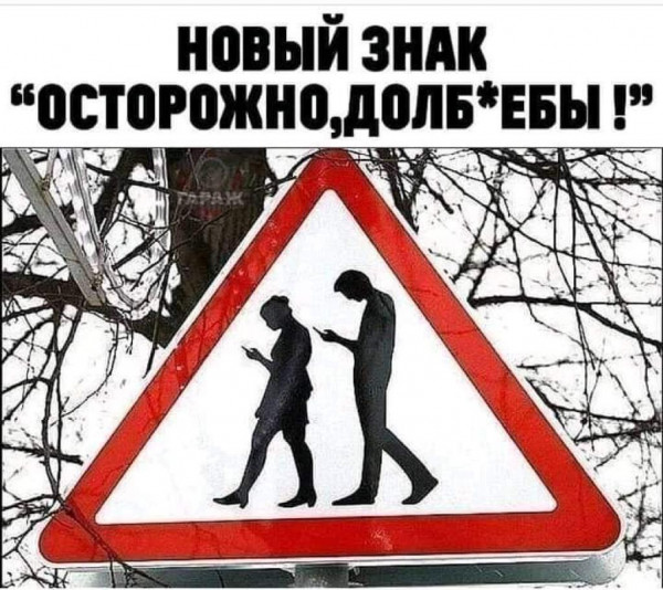 Весёлый полтишок 27.12
