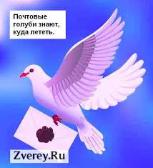 Стационарный домашний телефон: сохранять или нет?