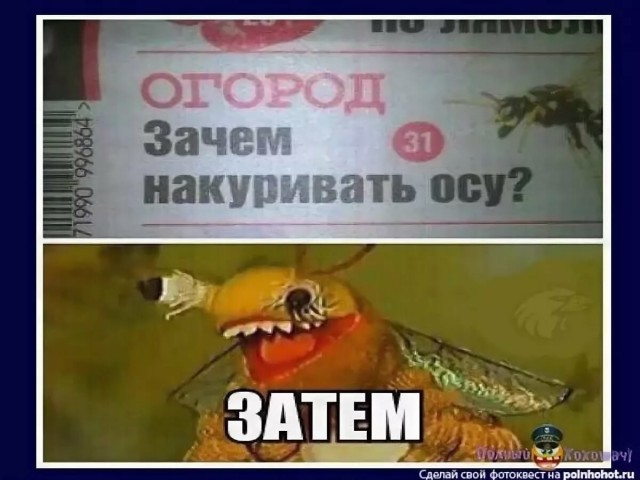 Накуриваем негра