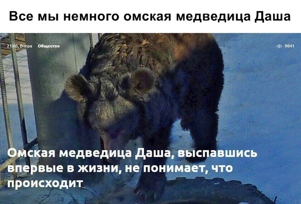 Так себе картинки 07.04.22