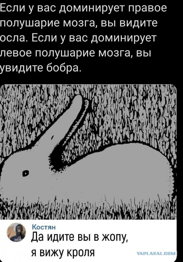 25 пикч для настроения