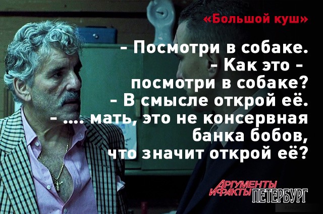 Белка пытается спрятать орех в собаке
