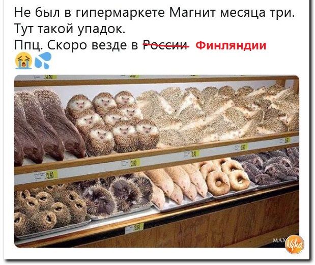 Пишут из Финляндии. Хлеба нет
