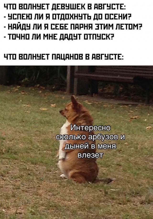 Картинки и мемы для настроения - 03