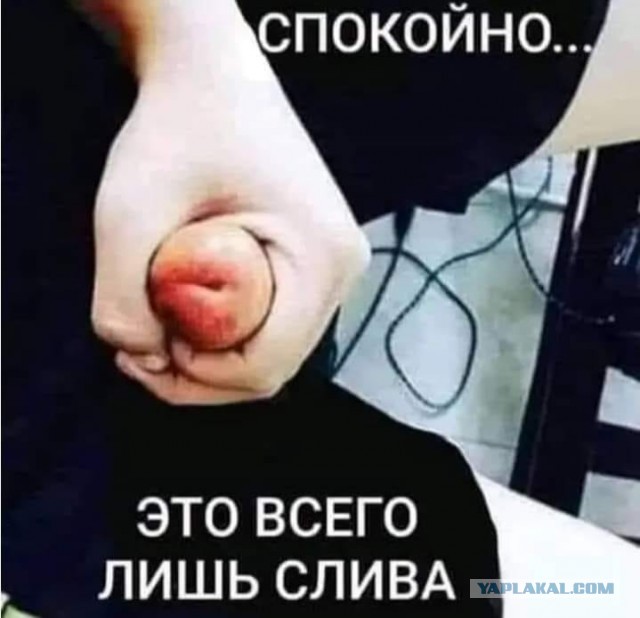 15 запутанных фото из серии «показалось», демонстрирующих, на что способен наш коварный мозг