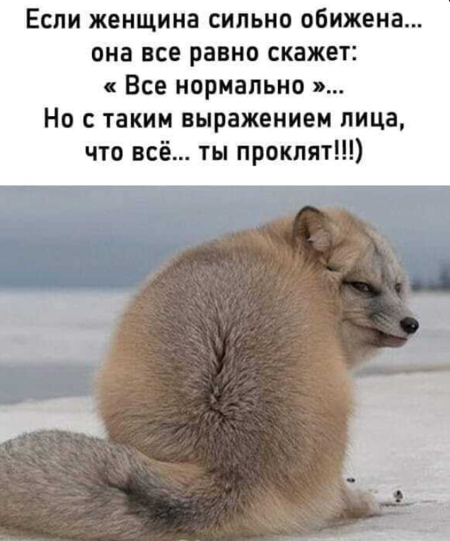 Картинки и мемы. Выходные близко...