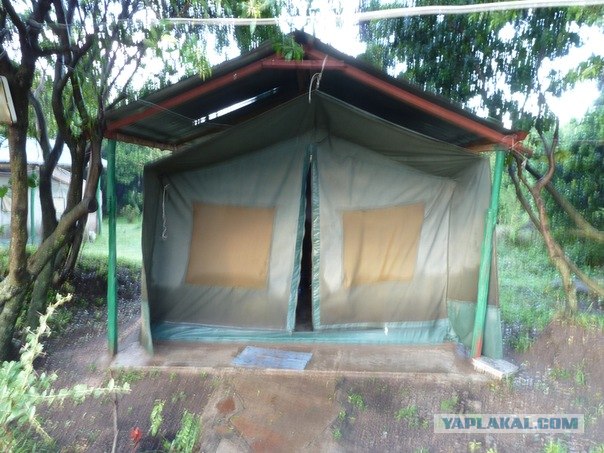 AFRICA - (Эфиопия,Кения,Танзация) 4-16 ноября 2011