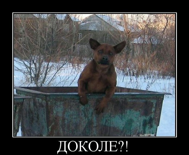 Какой бы вопрос вы задали Путину?