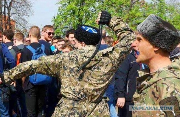 В Пензенской области на улицы выйдут отряды «Тигр»