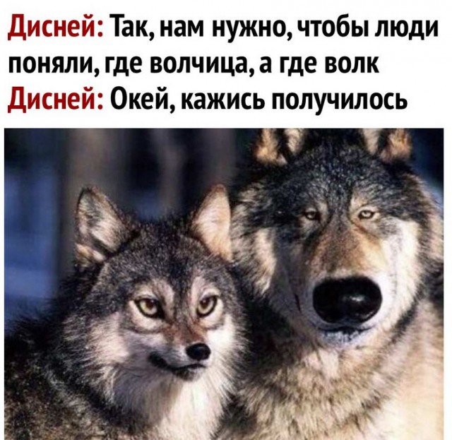 Немного картинок для настроения