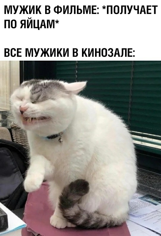 Так себе картинки 28.01.23