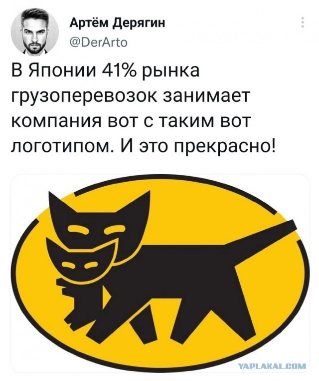 Так себе картинки 15.02.23