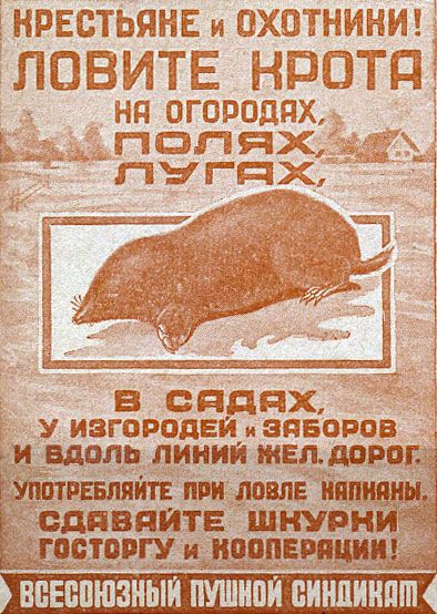Прикольные и просто красивые картинки 10.03.2023