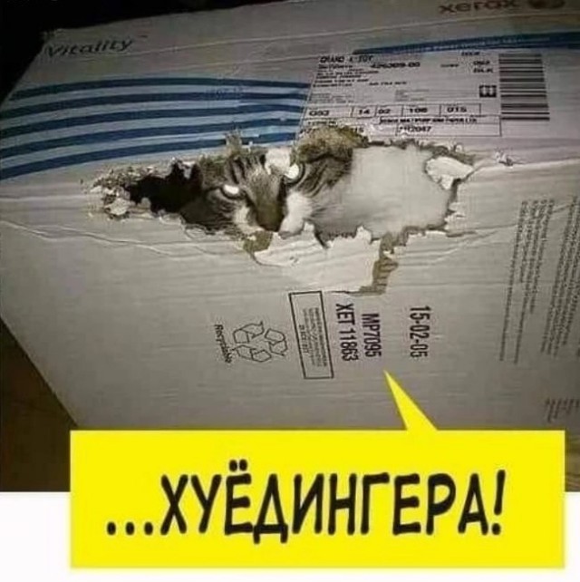 10 .jpg вам в хату